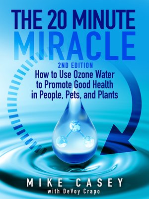 cover image of The 20 Minute Miracle